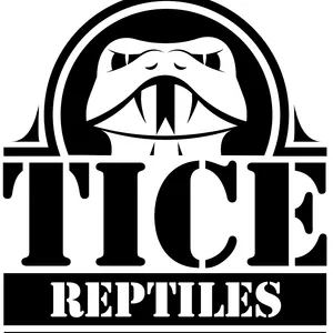 Tice Reptiles